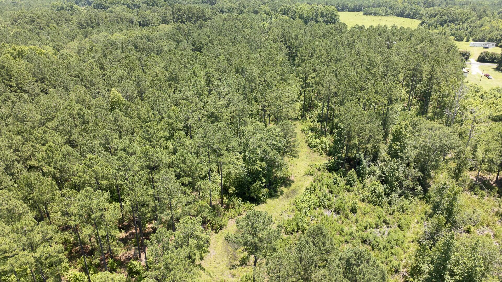 0 Toney Bay Road, Unit 3 Holly Hill, SC 29059 - Photo 26 of 36 Toney Bay-26