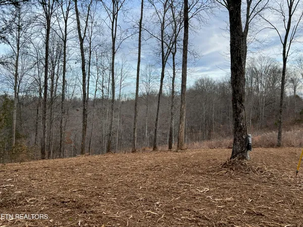 $50,000 | 92-lot Saddle Ridge Drive, Speedwell, TN 37870