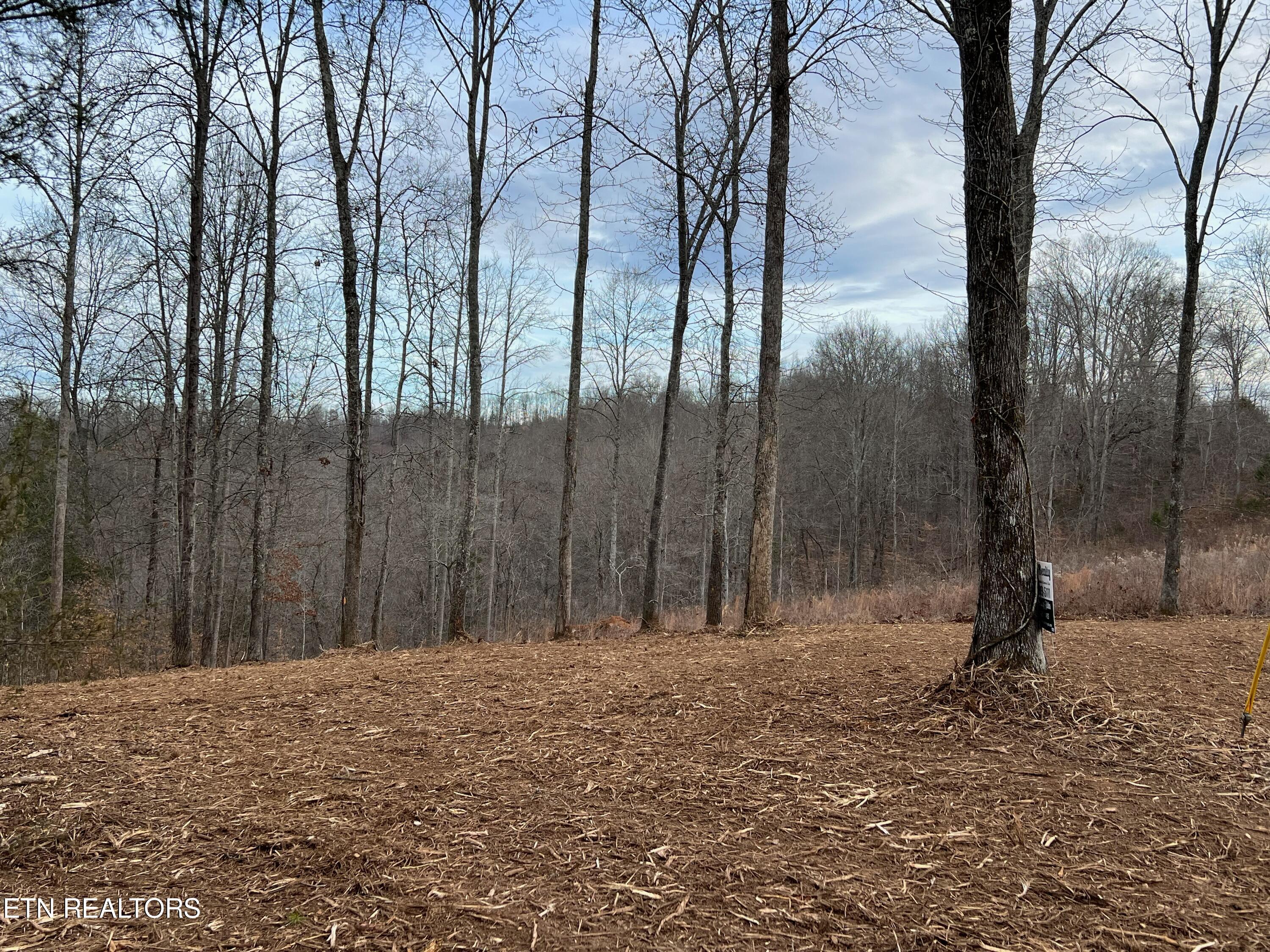 A63C1AD3-A208-4D65-9962-56DC26E9E7DE