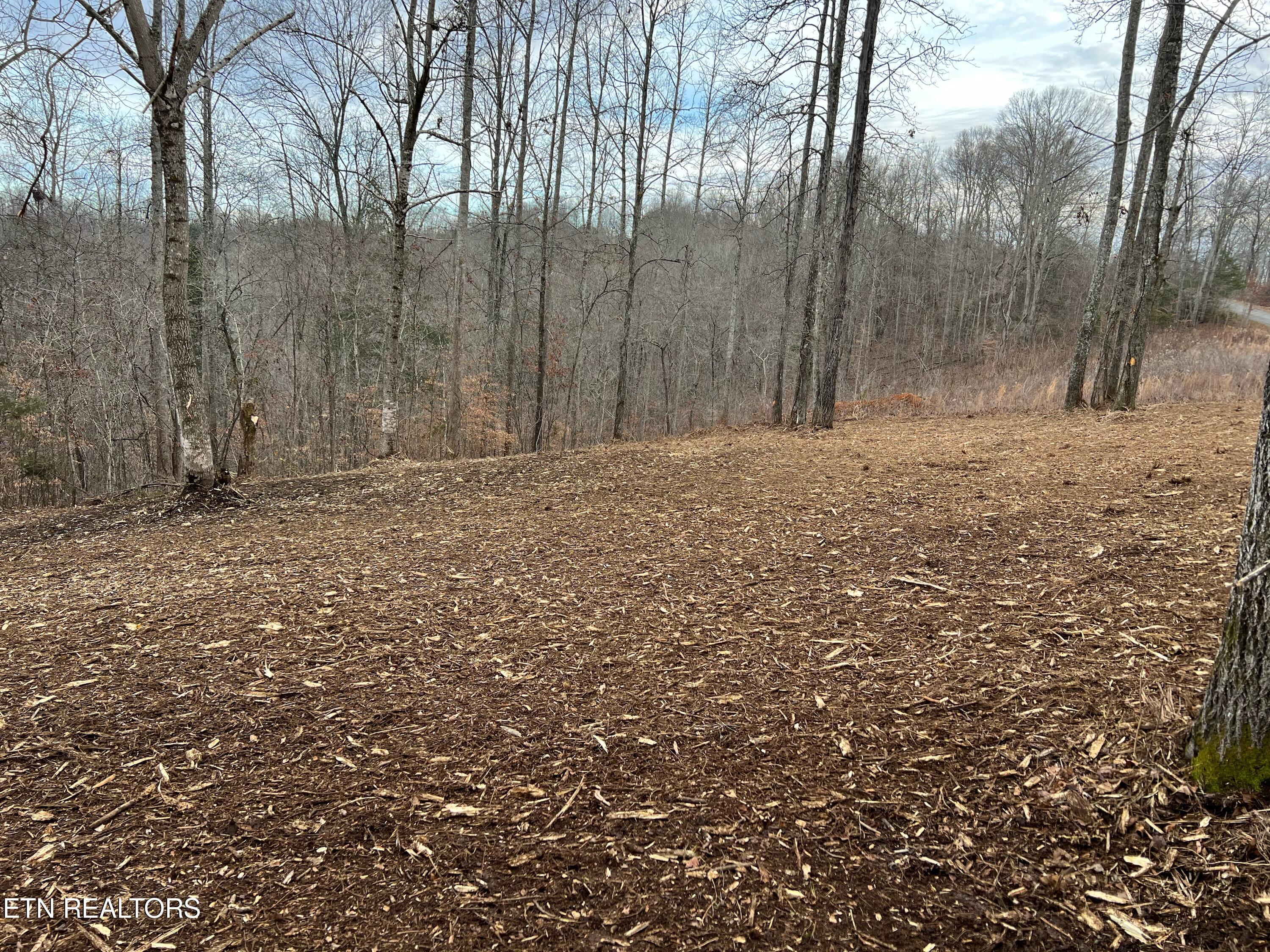 92-lot Saddle Ridge Drive Speedwell, TN 37870 - Photo 2 of 8 D00859E9-13F7-48B6-AFCC-3436BF7F085A