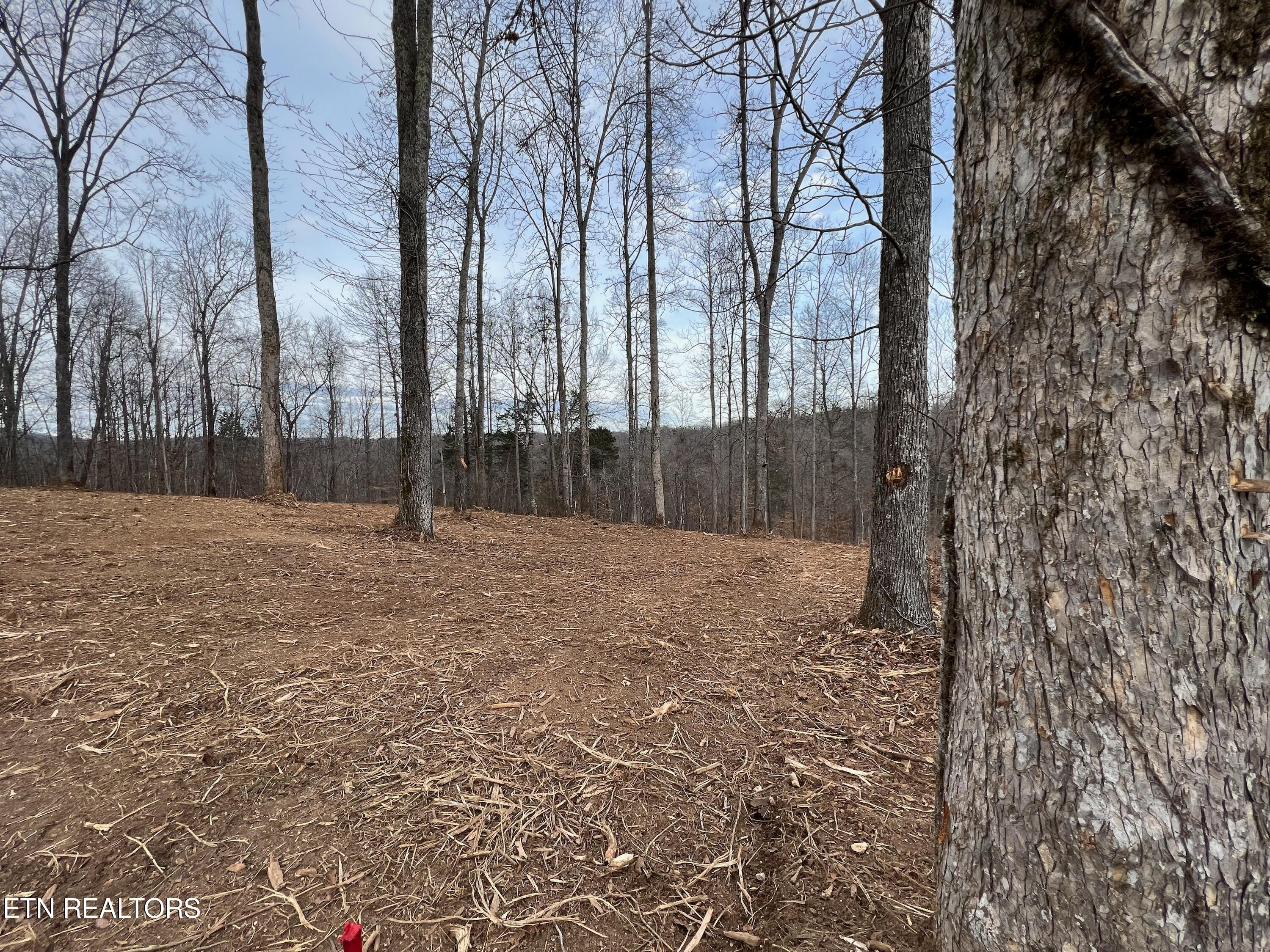 92-lot Saddle Ridge Drive Speedwell, TN 37870 - Photo 3 of 8 9CA4FC3C-FC34-40DB-BB05-6DCF3EDE2DDD