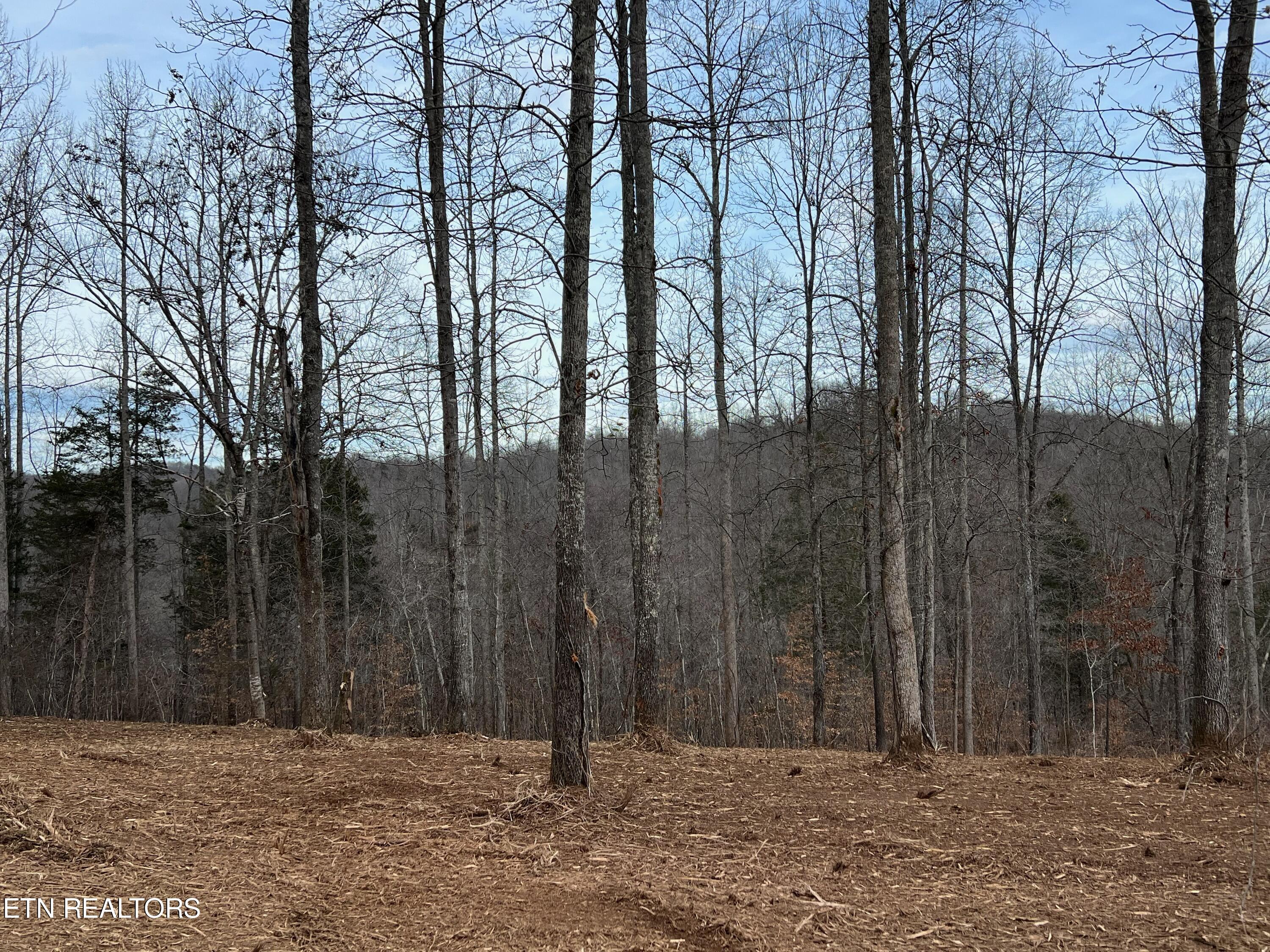 92-lot Saddle Ridge Drive Speedwell, TN 37870 - Photo 4 of 8 52A048F8-690E-4F7A-9AFB-9F1546D910F4