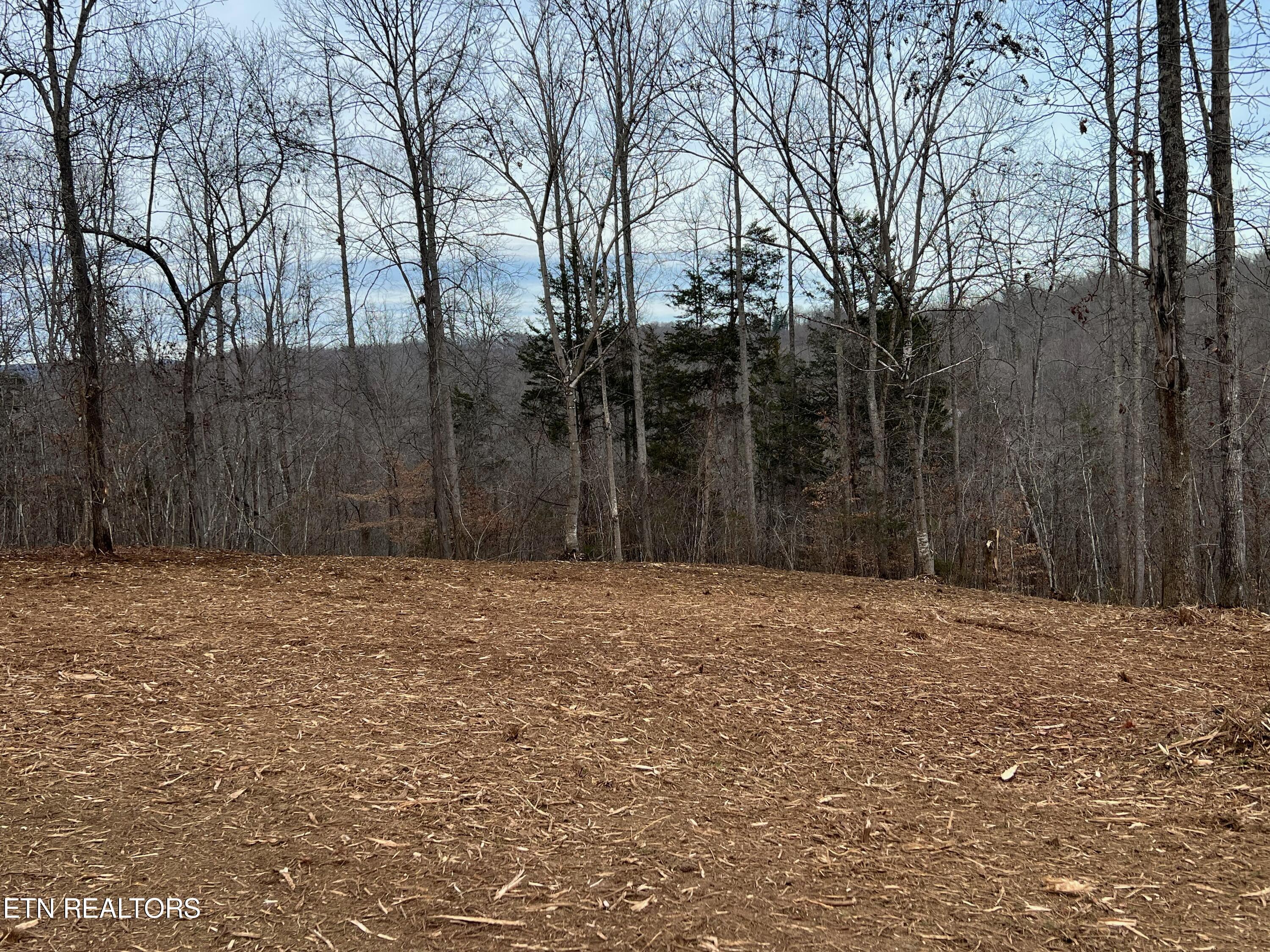 92-lot Saddle Ridge Drive Speedwell, TN 37870 - Photo 5 of 8 8547AC78-0125-4C96-B7B6-BC53F8447A31