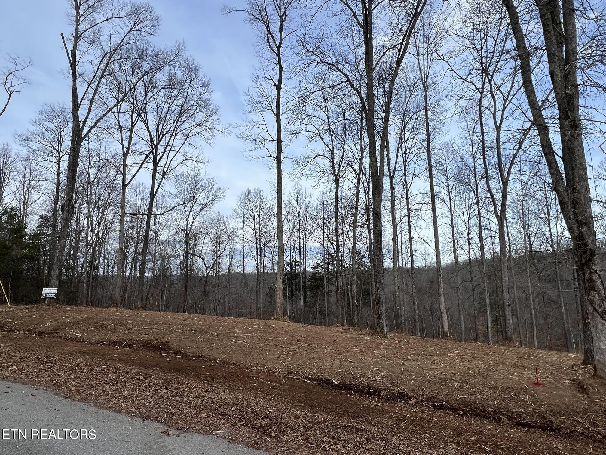 92-lot Saddle Ridge Drive Speedwell, TN 37870 - Photo 6 of 8 3AB5BF99-470E-4BD1-84FC-71F2D698E138