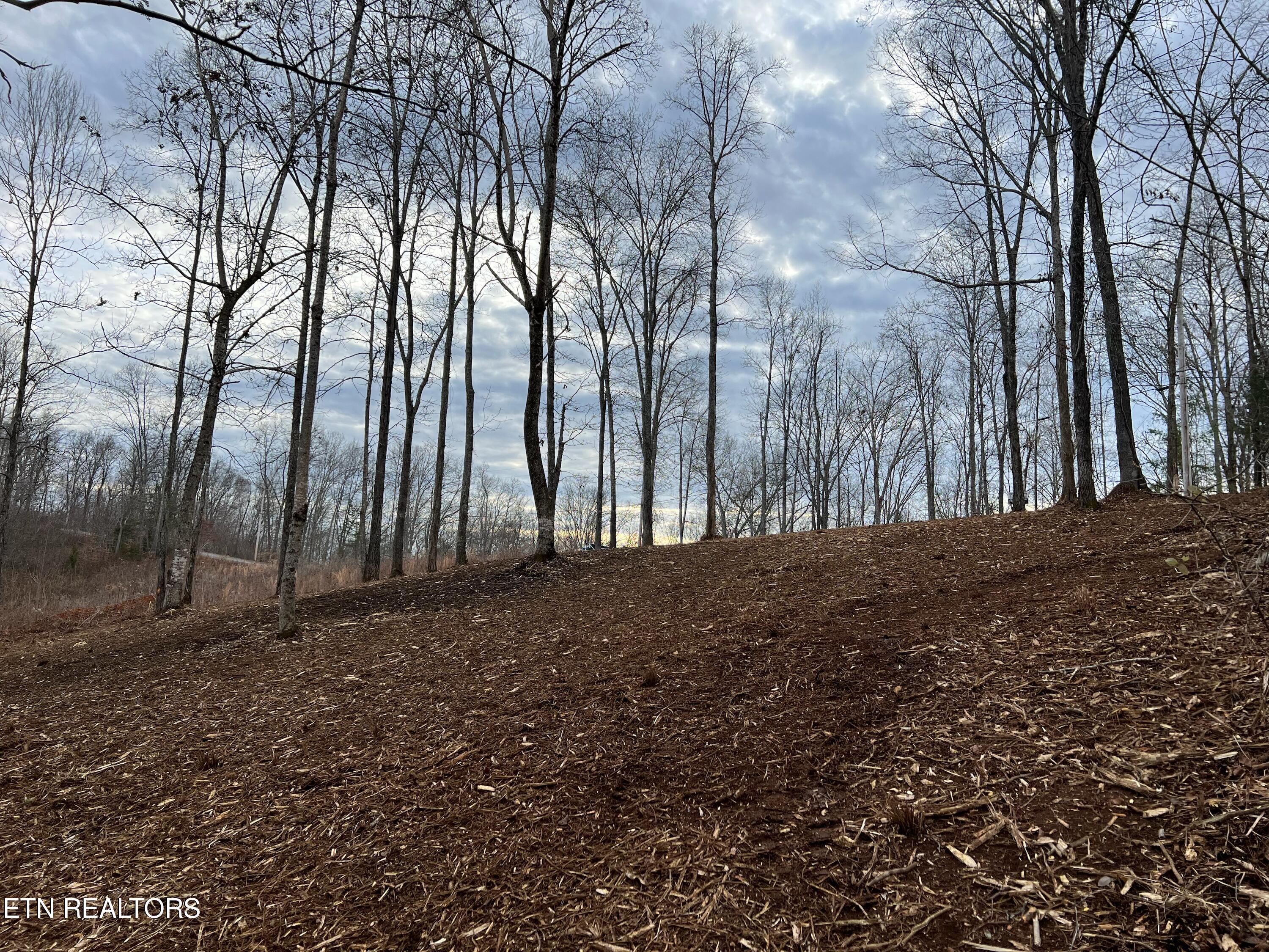 92-lot Saddle Ridge Drive Speedwell, TN 37870 - Photo 7 of 8 21D24C45-21A6-4ED5-AE6F-7AD24A13EAAF