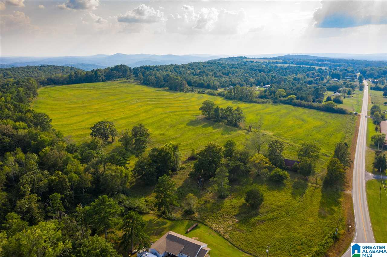 0 County Road 27, Unit 46 ACRES Springville, AL 35146 - Photo 5 of 11