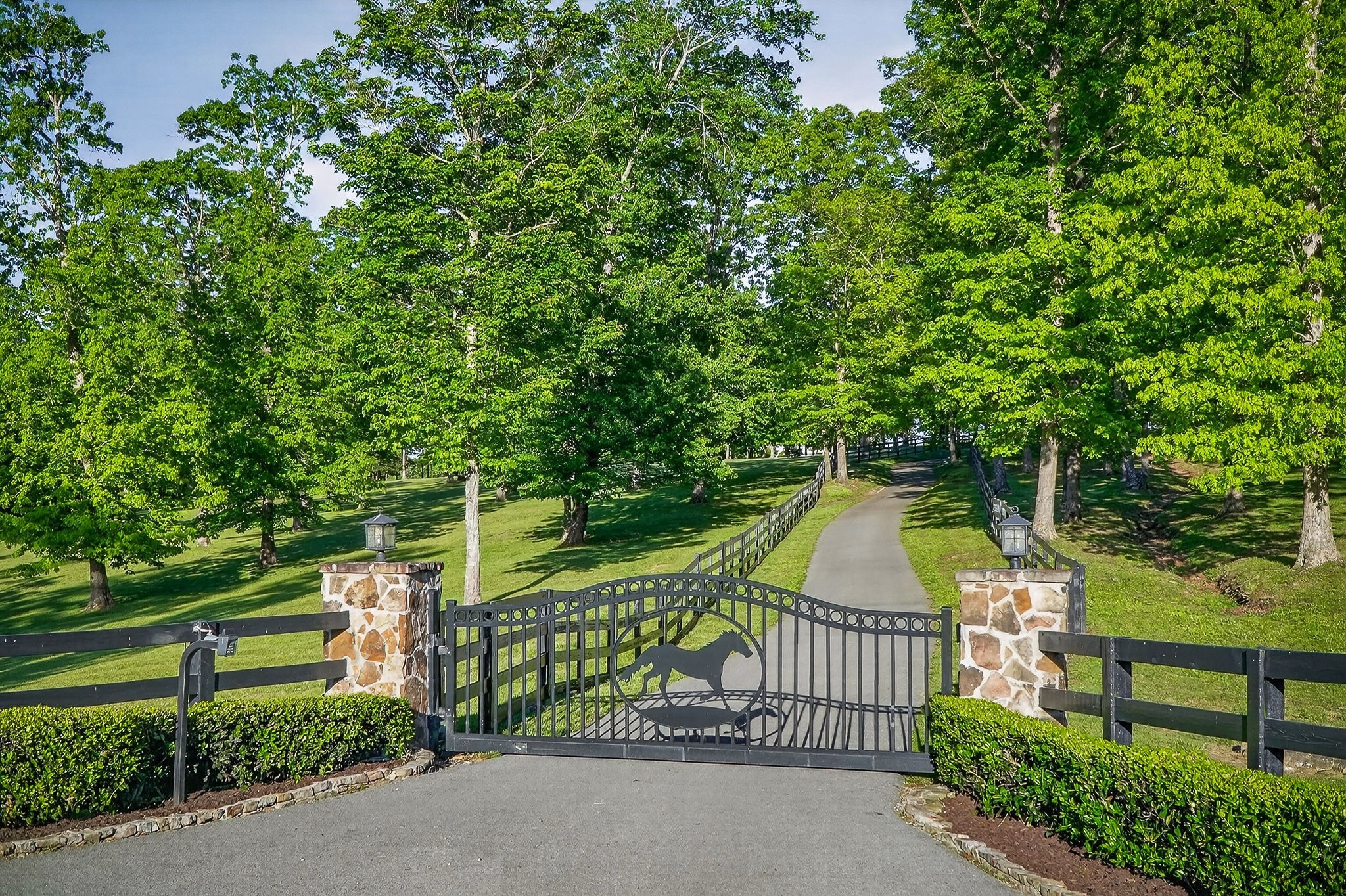 933 John Henry Lewis Road Dunlap, TN 37327 - Photo 16 of 100 a view of a wrought iron fences in front of house