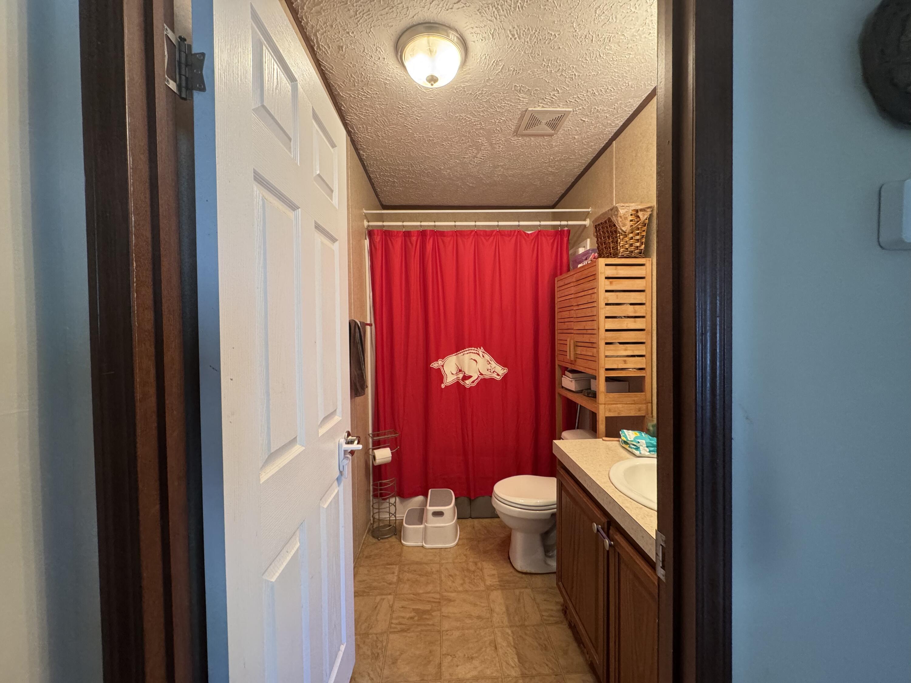 300 White Oak Road Boones Mill, VA 24065 - Photo 13 of 28 a bathroom with a toilet sink and mirror