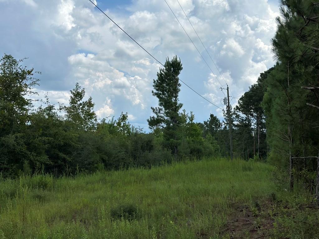 5-acres Old Elba Road Coffee Springs, AL 36318 - Photo 15 of 18