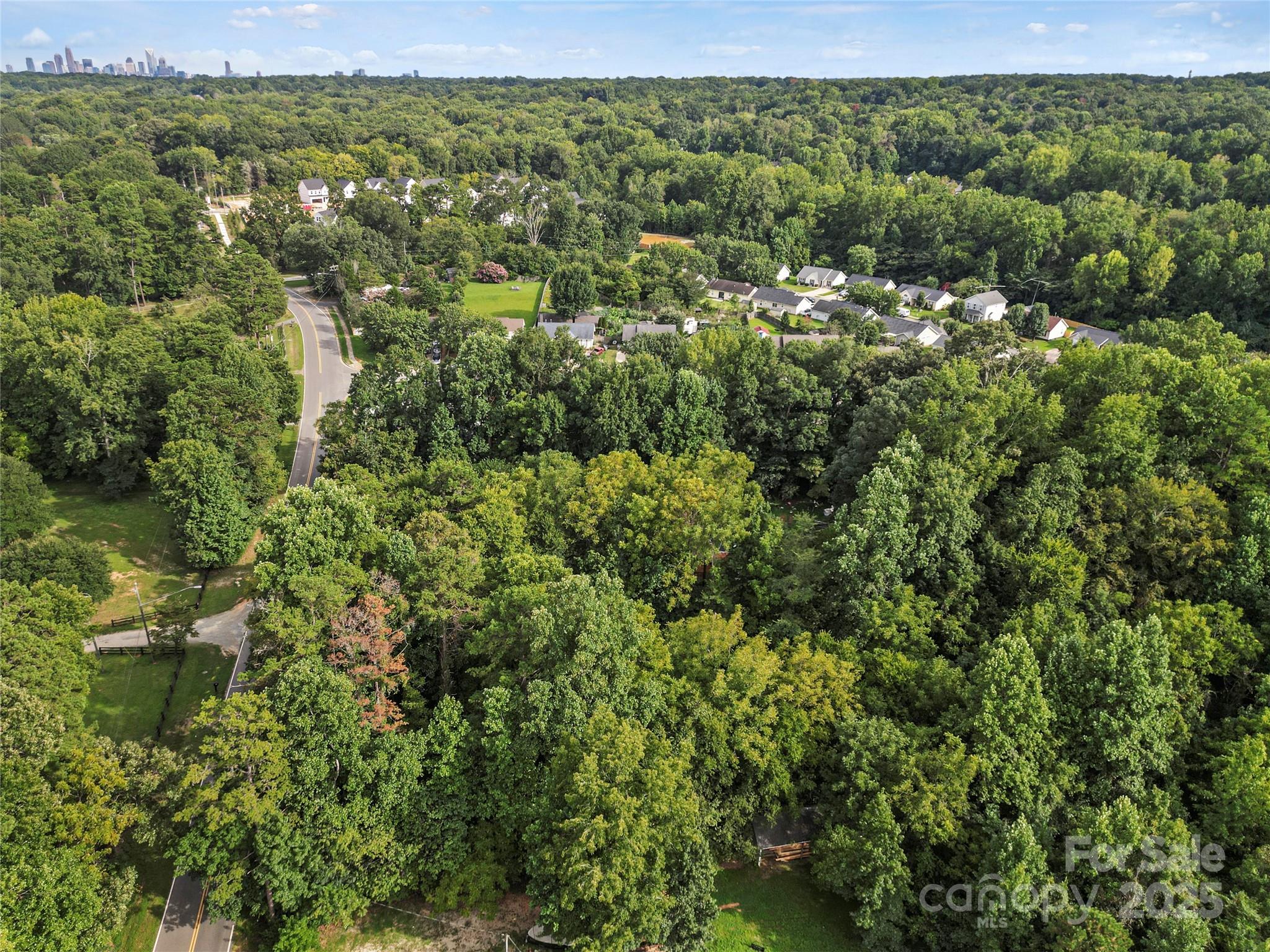 6109 Paw Creek Road Charlotte, NC 28214 - Photo 14 of 18 a view of a green field with lots of bushes