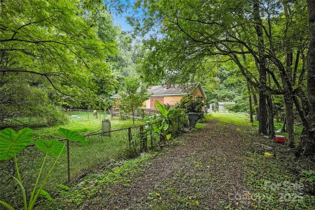 an outdoor view of garden