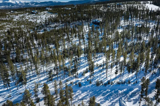 a view of lots of tree
