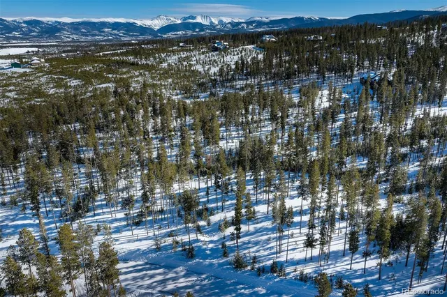 a view of a lot of trees