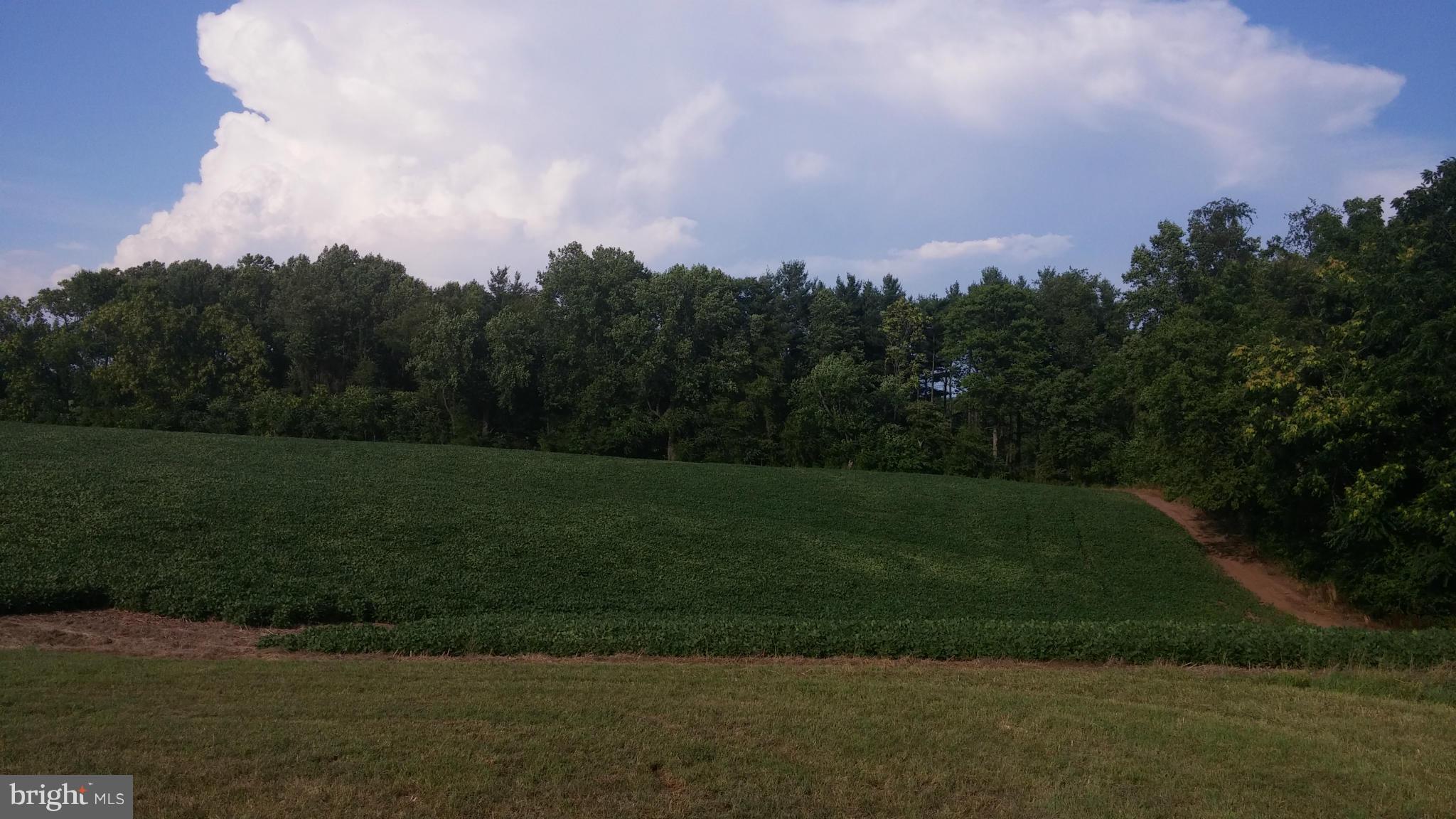 8401 Ramsburg Road Thurmont, MD 21788 - Photo 8 of 11 View