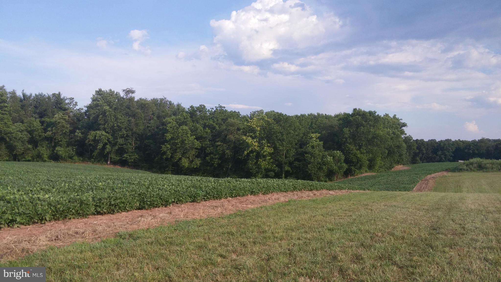8401 Ramsburg Road Thurmont, MD 21788 - Photo 9 of 11 View