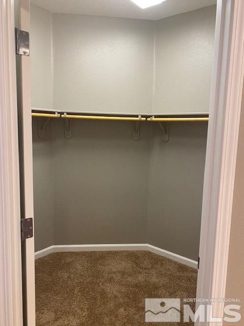 7725 Great Basin Road Reno, NV 89523 - Photo 19 of 25 Photo 19