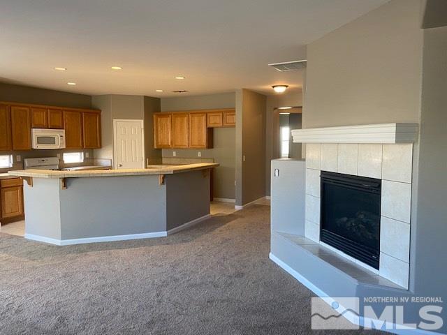 7725 Great Basin Road Reno, NV 89523 - Photo 3 of 25 Photo 3