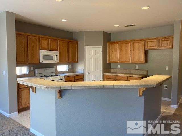 7725 Great Basin Road Reno, NV 89523 - Photo 4 of 25 Photo 4