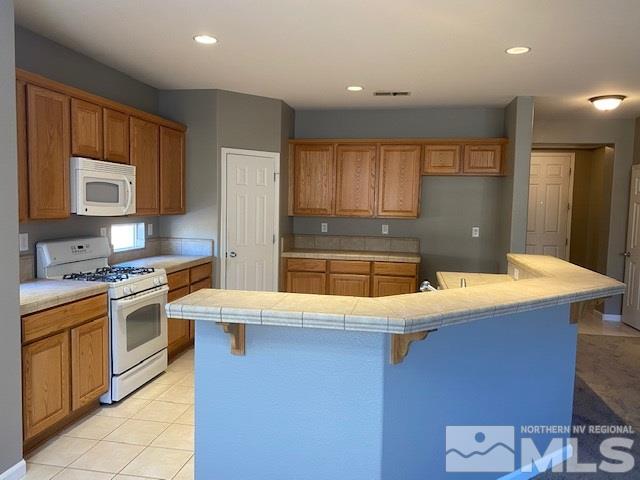 7725 Great Basin Road Reno, NV 89523 - Photo 8 of 25 Photo 8