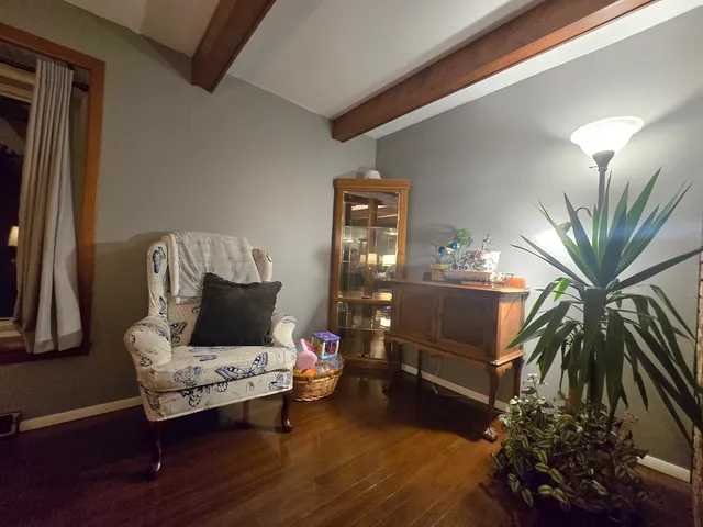 a living room with furniture and a potted plant