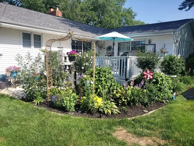 a view of a house with potted plants and a yard