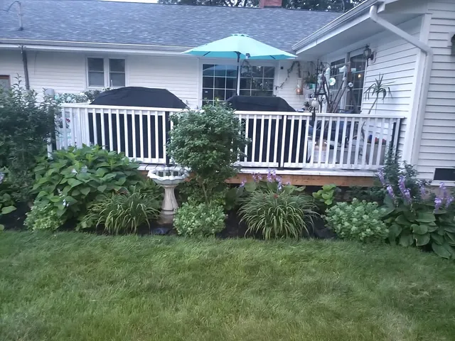 a view of a chair and table in the backyard
