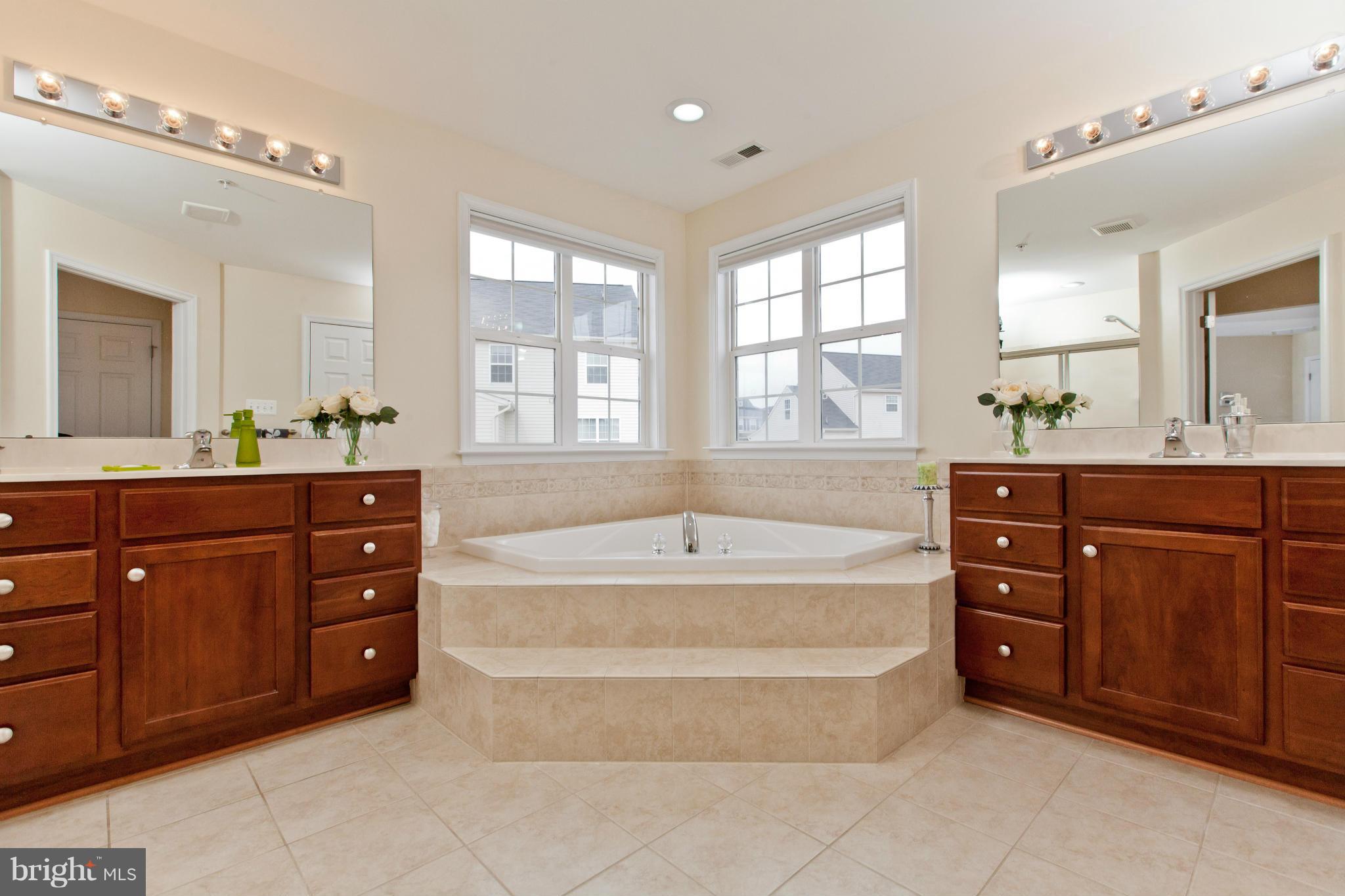 4004 Paw Paw Circle Point of Rocks, MD 21777 - Photo 21 of 30 Luxury bath with whirlpool (jets)