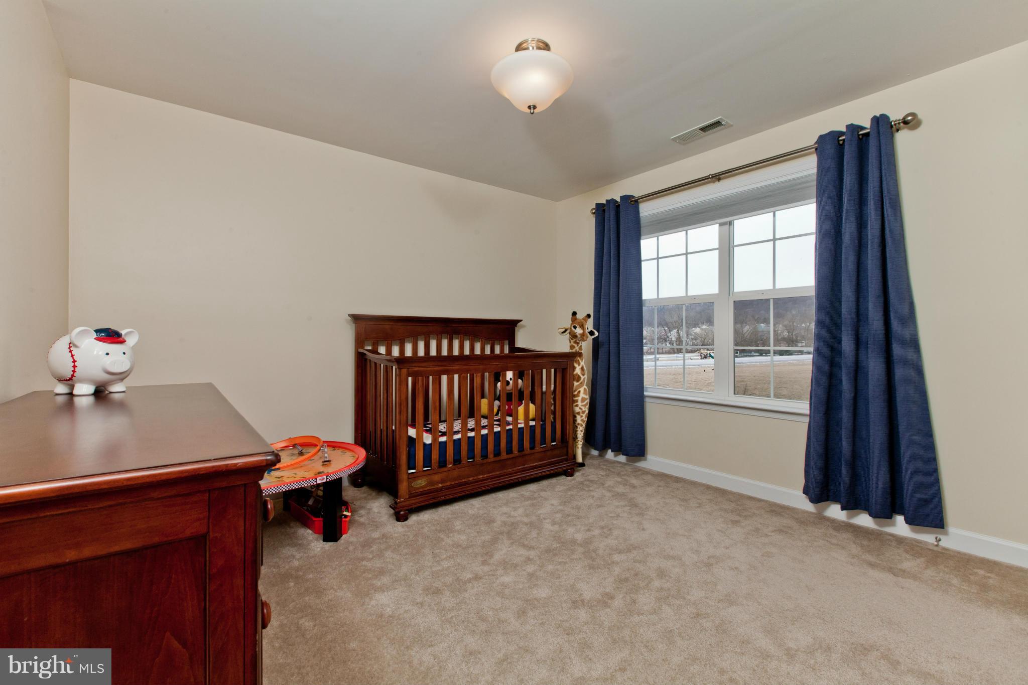 4004 Paw Paw Circle Point of Rocks, MD 21777 - Photo 23 of 30 Bedroom 2