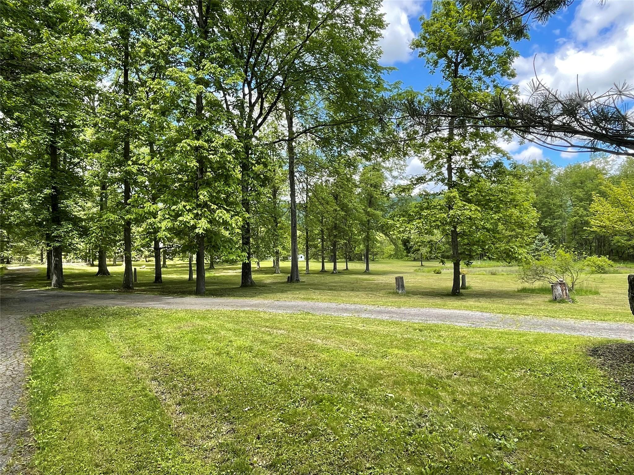 71 Saddleback Ridge Wallkill, NY 12589 - Photo 28 of 39 Surrounding community featuring a yard