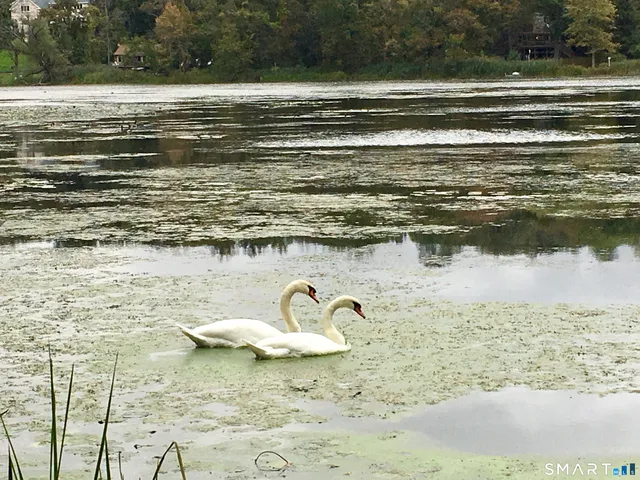 $745,000 | 20 Rita Road, Ridgefield, CT 06877