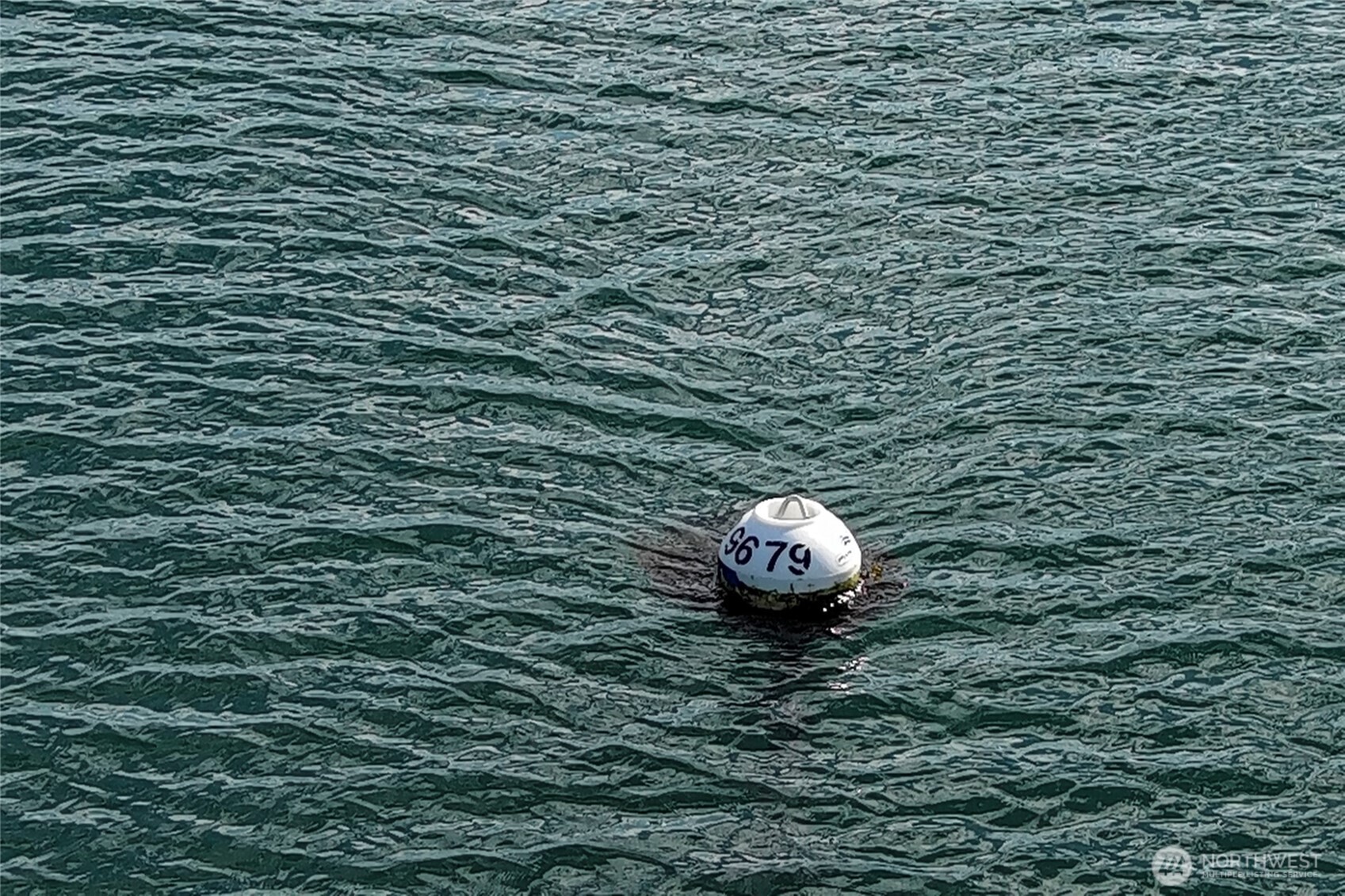 361 Tarte Road Friday Harbor, WA 98250 - Photo 11 of 16