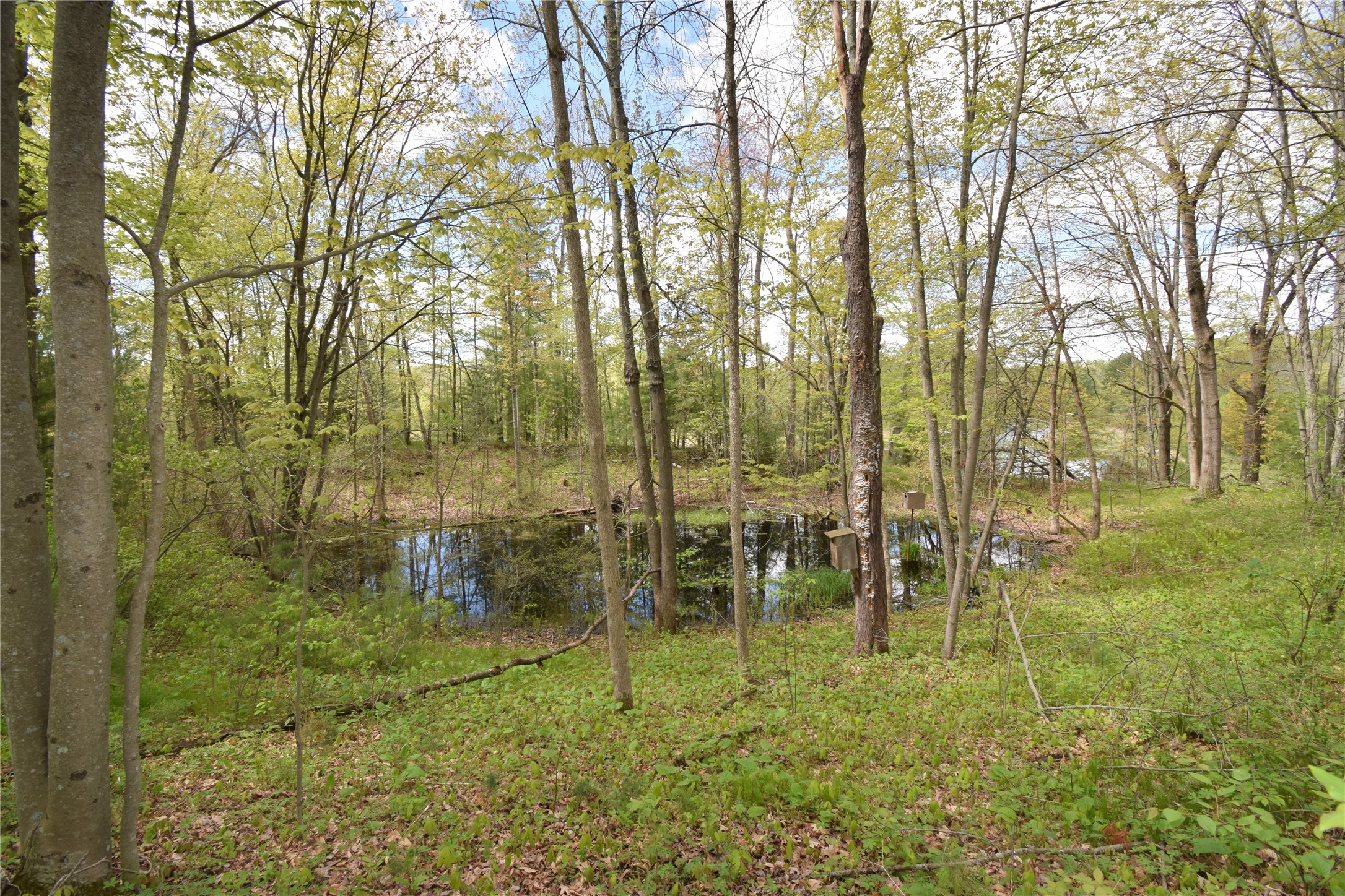 25383 Mansfield Road Webster, WI 54893 - Photo 14 of 36