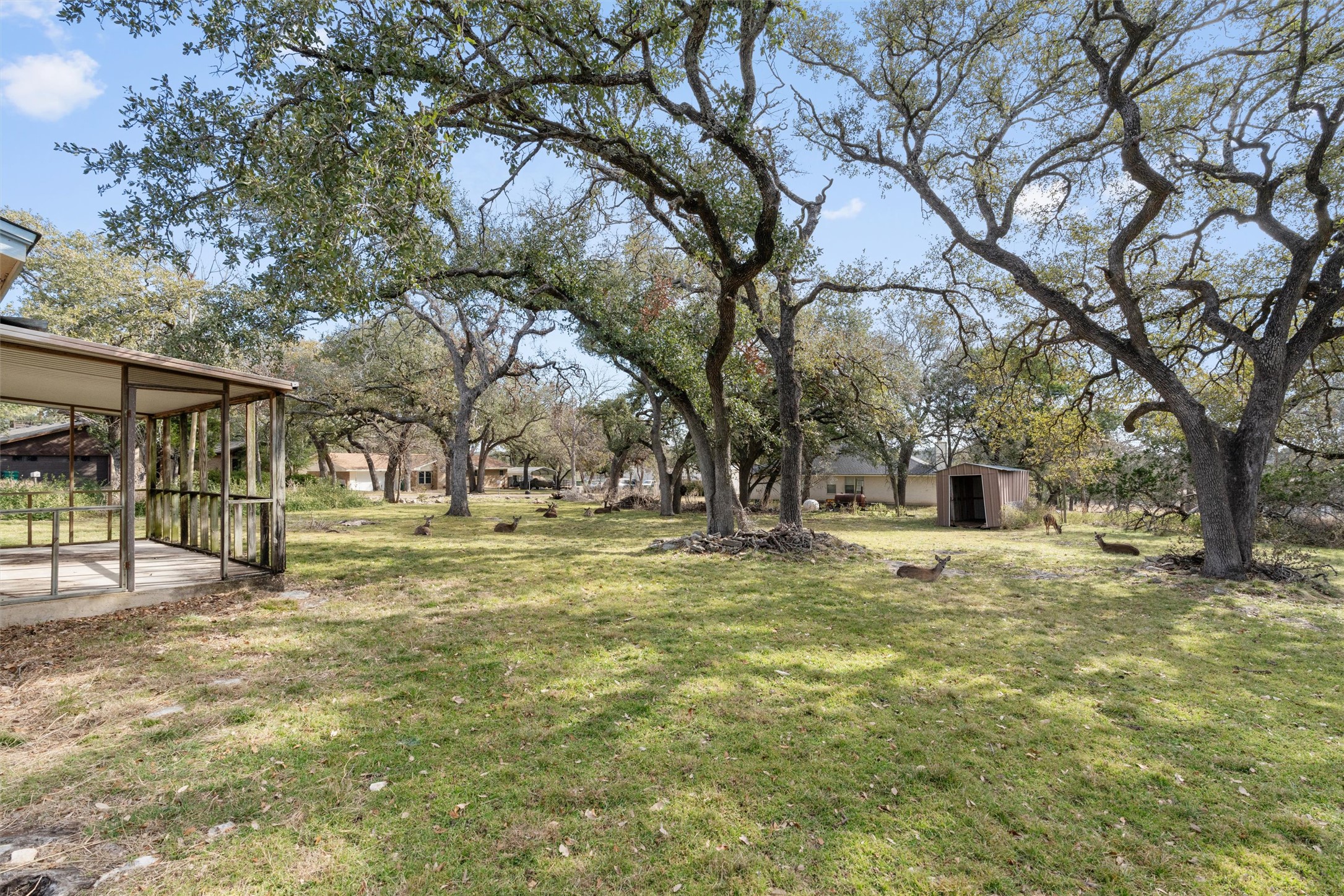 43 Morgan's Point Boulevard Belton, TX 76513 - Photo 24 of 28 View of grassy yard featuring a storage shed