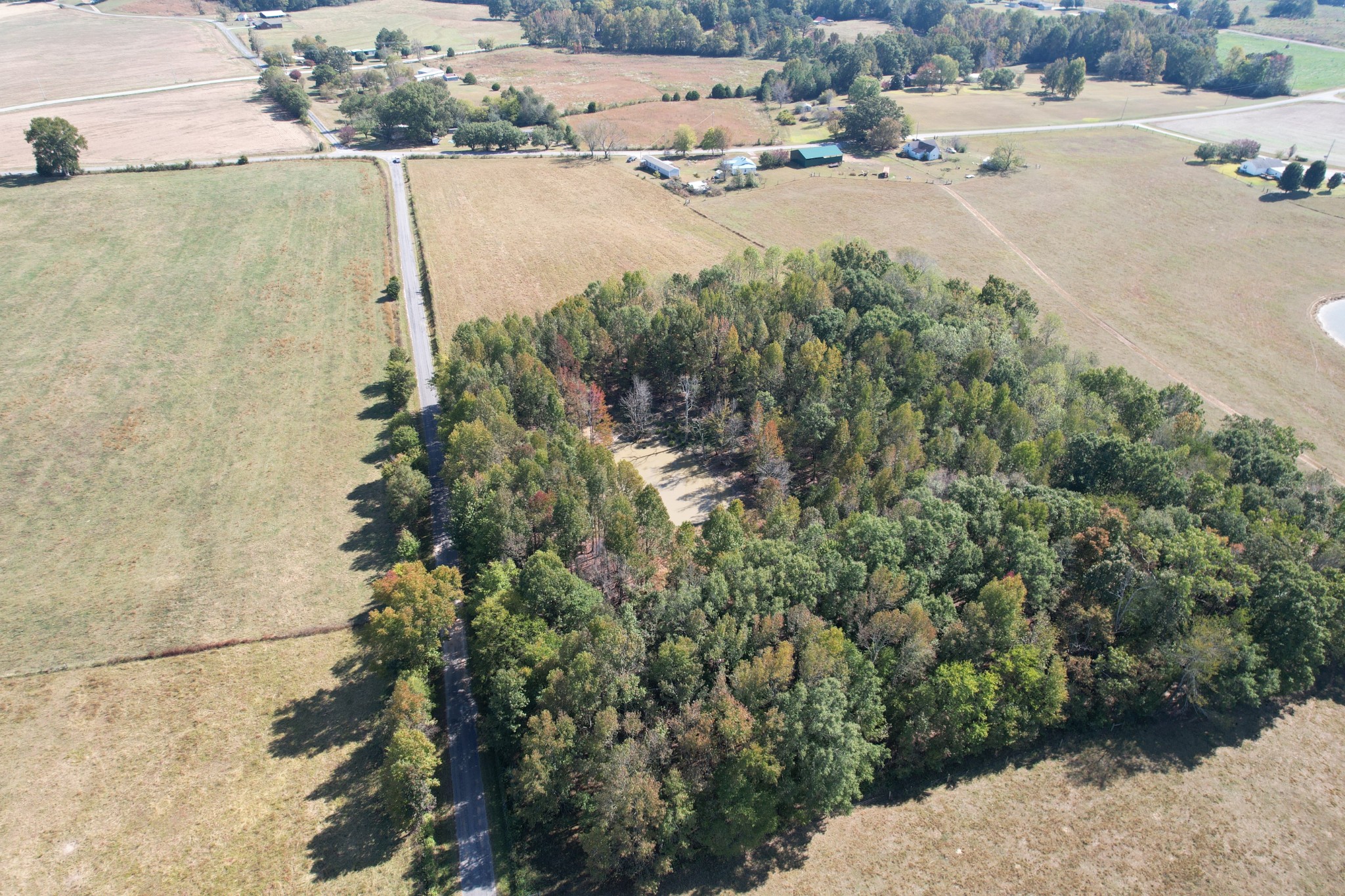 0 Second Creek Road Leoma, TN 38468 - Photo 4 of 6 Gallery Image 4