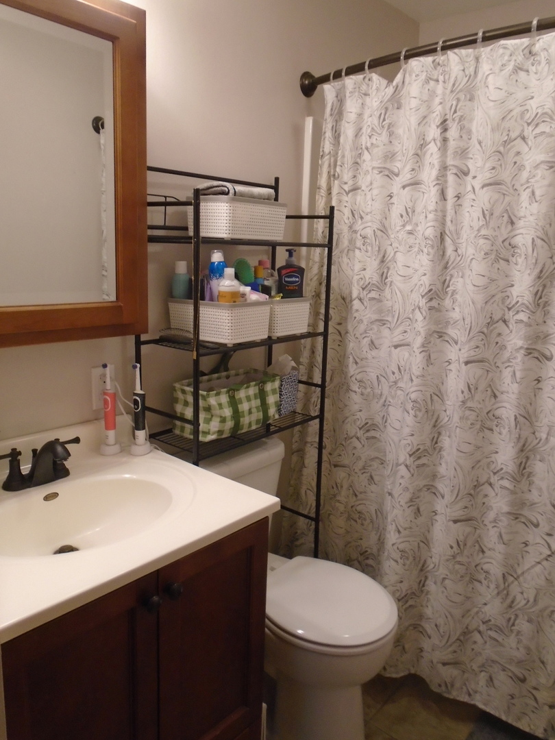 1221 7th Avenue Rochelle, IL 61068 - Photo 12 of 20 a bathroom with a sink and a toilet