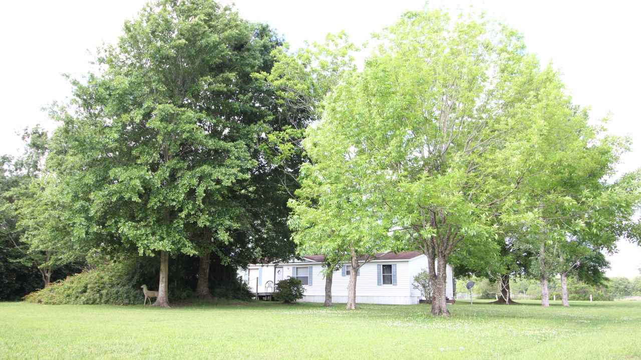 6545 County Road 19 Foley, AL 36535 - Photo 5 of 34