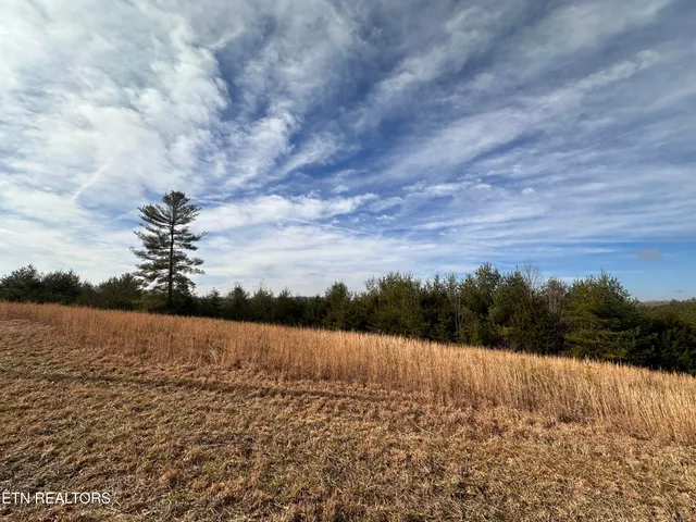 $62,550 | 6.94-ac White Creek Court, Deer Lodge, TN 37726