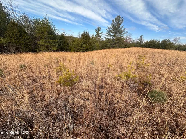 $62,550 | 6.94-ac White Creek Court, Deer Lodge, TN 37726