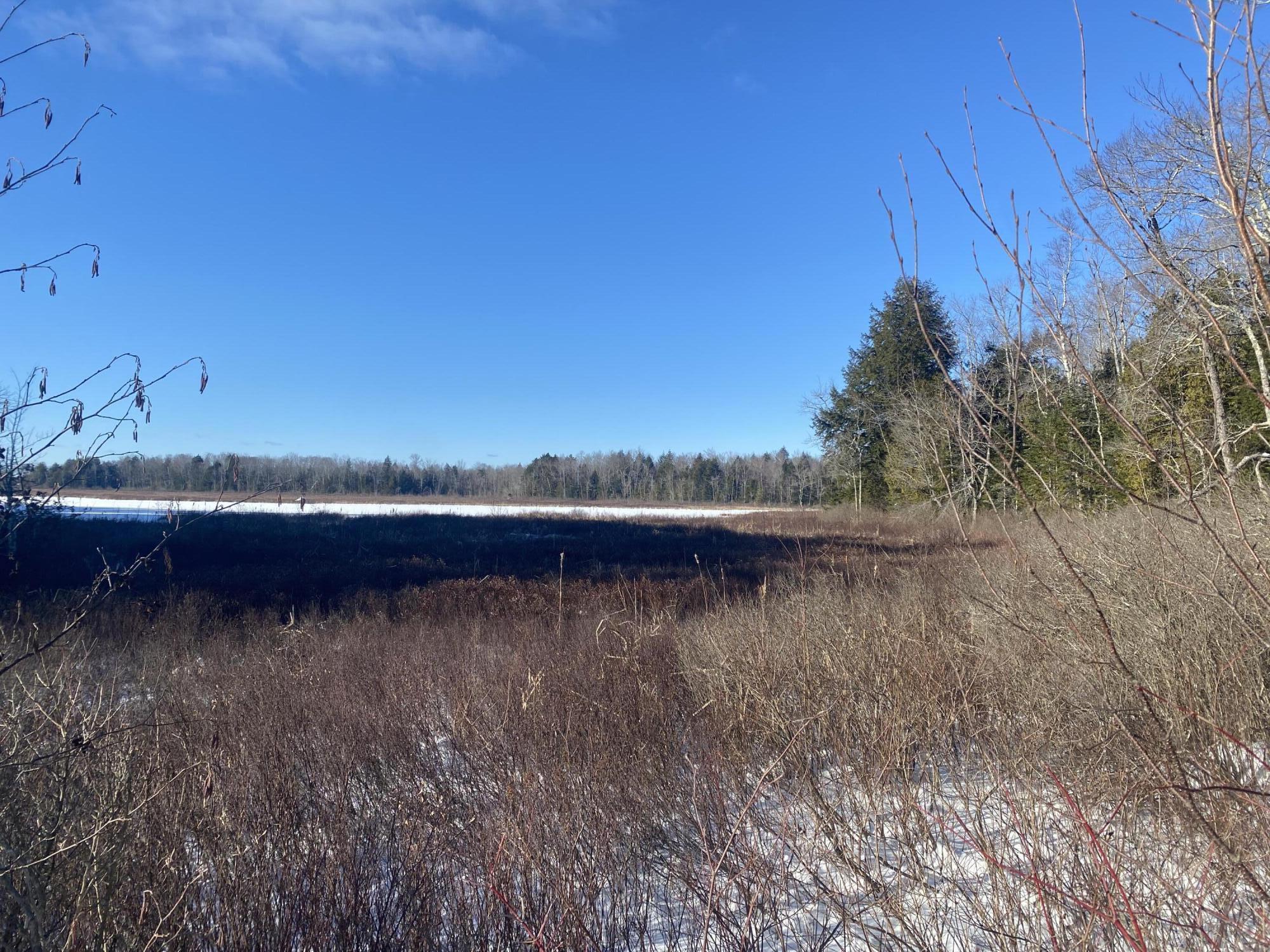 Lot 8 Village Road Stetson, ME 04488 - Photo 14 of 22 IMG_9659