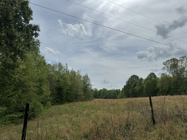 637 Hargis Road Bumpus Mills, TN 37028 - Photo 5 of 17