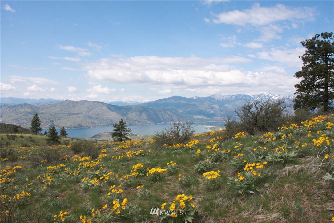 -lot B Windy Ridge Lane Chelan, WA 98816 - Photo 3 of 9 Gallery Image 3