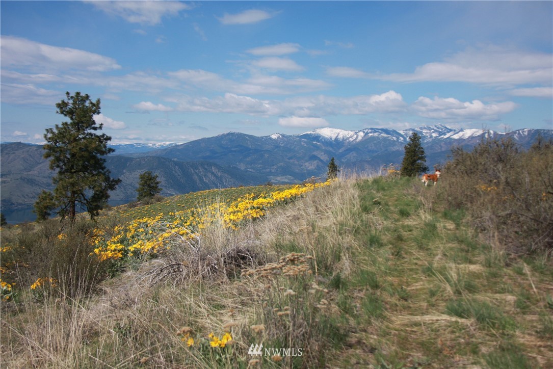 -lot B Windy Ridge Lane Chelan, WA 98816 - Photo 4 of 9 Gallery Image 4