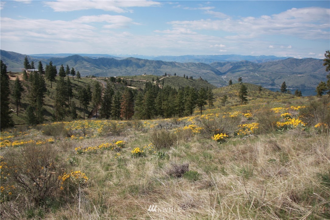 -lot B Windy Ridge Lane Chelan, WA 98816 - Photo 5 of 9 Gallery Image 5