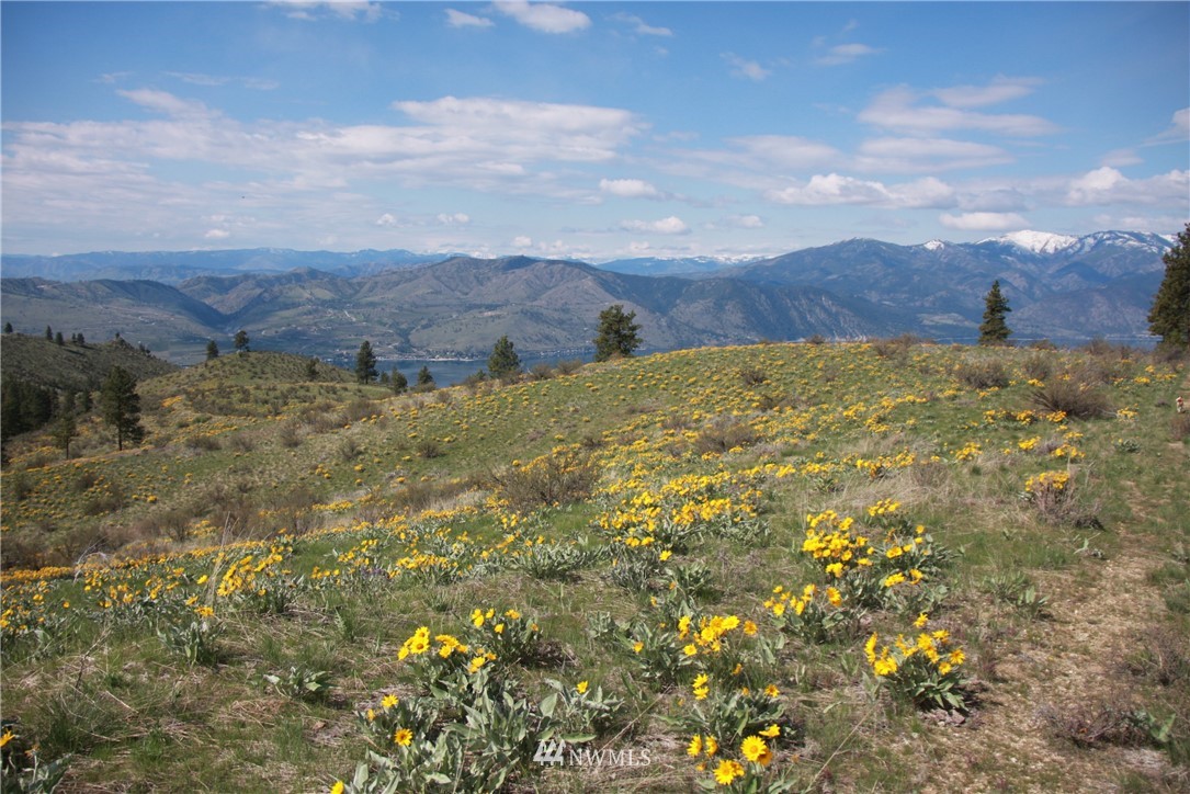 -lot B Windy Ridge Lane Chelan, WA 98816 - Photo 6 of 9 Gallery Image 6
