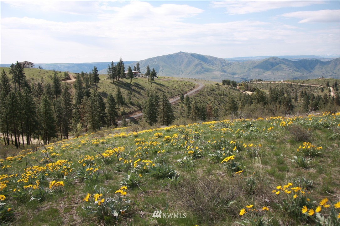 -lot B Windy Ridge Lane Chelan, WA 98816 - Photo 7 of 9 Gallery Image 7