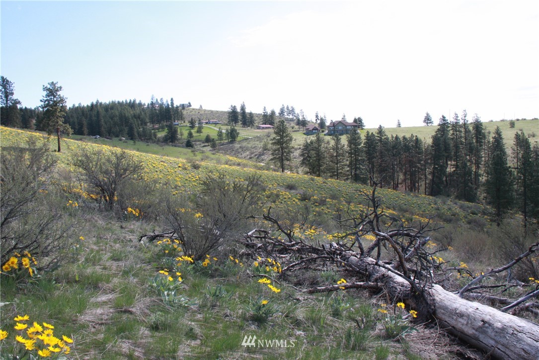 -lot B Windy Ridge Lane Chelan, WA 98816 - Photo 8 of 9 Gallery Image 8