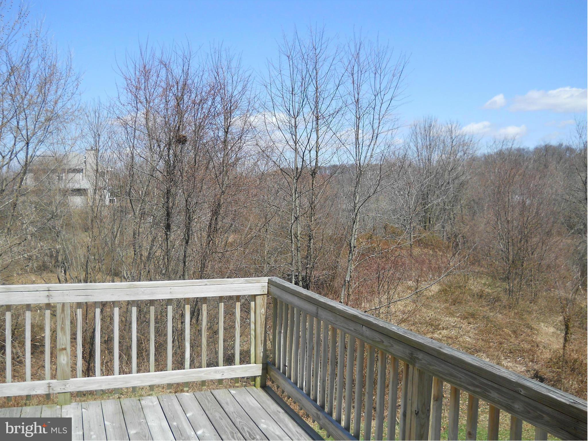 201 Mason Runn Lane Rising Sun, MD 21911 - Photo 16 of 19 SIDE YARD VIEW