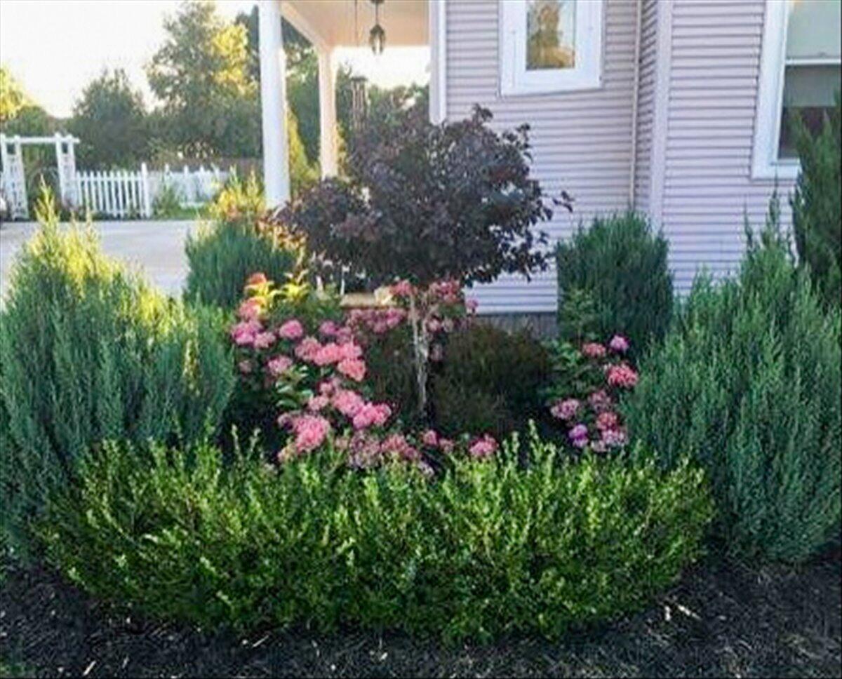 461 5th Street Manistee, MI 49660 - Photo 77 of 89 Beautiful landscaping around home