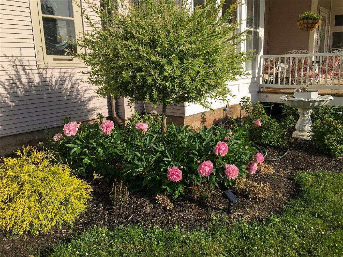 461 5th Street Manistee, MI 49660 - Photo 79 of 89 108-iPhone Images Edited-103