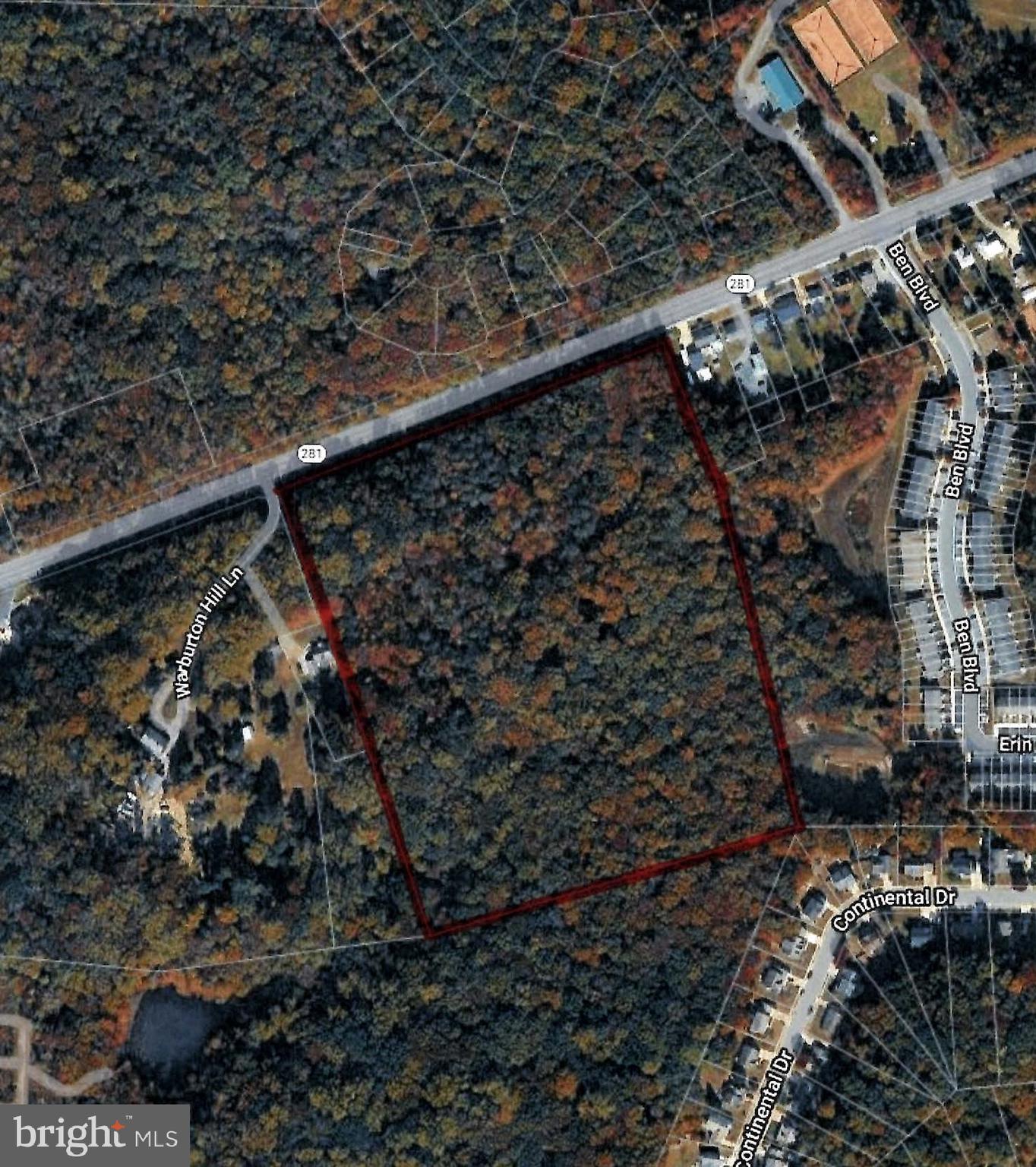 N/a Red Hill Road Elkton, MD 21921 - Photo 1 of 1 a view of a forest